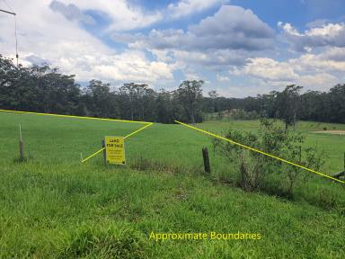 Farm Sold - NSW - Bonville - 2450 - Magical Bonville - Build Your Secluded Paradise Here!  (Image 2)
