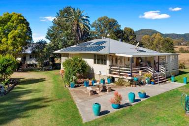Farm Sold - QLD - Widgee - 4570 - ATTENTION HORSE LOVERS  (Image 2)