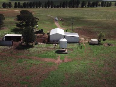 Farm Sold - NSW - Cooma - 2630 - Passive Solar Home on Productive Farm 5 Minutes from Cooma  (Image 2)