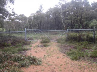 Farm Sold - NSW - Shannons Flat - 2630 - A Rural, 2 HA, Building Block  (Image 2)
