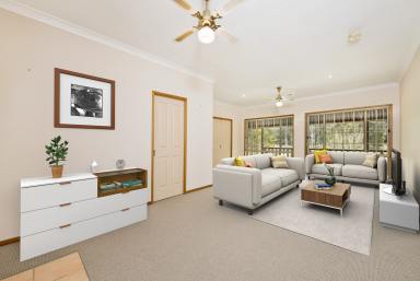 Farm Sold - NSW - Kew - 2439 - "Tall Trees" - Your Country Style Oasis  (Image 2)