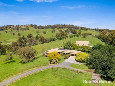Farm Sold - NSW - Mittagong - 2575 - Glenhaven The Best of Town & Country!  (Image 2)