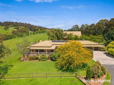 Farm Sold - NSW - Mittagong - 2575 - Glenhaven The Best of Town & Country!  (Image 2)