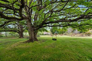 Farm Sold - TAS - Sheffield - 7306 - "Rosnastraw Farm" Traditional farmyard setting  (Image 2)