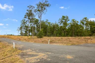 Farm Sold - QLD - Tamaree - 4570 - PRICED TO SELL  (Image 2)