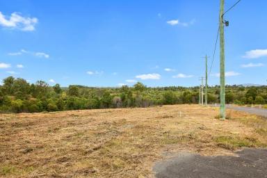 Farm Sold - QLD - Tamaree - 4570 - PRICED TO SELL  (Image 2)