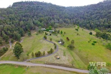 Farm Sold - NSW - St Albans - 2775 - A Special Place Ripe With Potential  (Image 2)