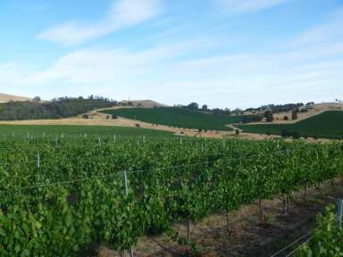 Farm Sold - VIC - Murrindindi - 3717 - Yarradindi Vineyard  (Image 2)