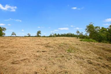 Farm Sold - QLD - Tamaree - 4570 - BLOCKS, ALL PRICED TO SELL  (Image 2)