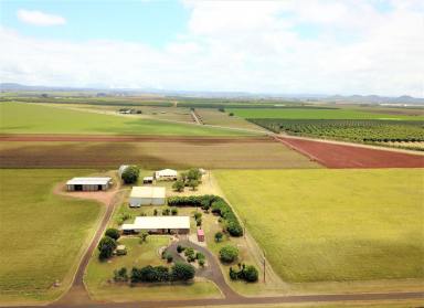 Farm Sold - QLD - Tolga - 4882 - TOLGA BLUE CHIP FARMING  (Image 2)