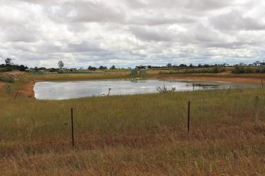 Farm Sold - SA - Pinnaroo - 5304 - DIVERSE EDGE OF TOWN ACRES - SO WELL POSITIONED - SO MUCH TO OFFER  (Image 2)