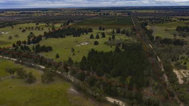 Farm Sold - VIC - Longford - 3851 - 70 ACRES VERY PRIVATE  (Image 2)