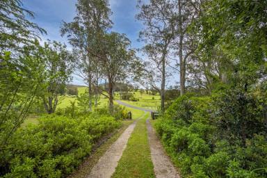 Farm Sold - NSW - Brooklana - 2450 - Hinterland Hideaway...  (Image 2)