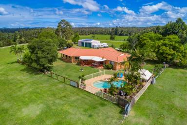 Farm Sold - NSW - New Italy - 2472 - Ideally Positioned On The Ridge  (Image 2)