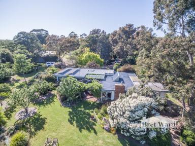 Farm Sold - VIC - Swan Reach - 3903 - CHARMING HOME WITH RIVER VIEWS.  (Image 2)