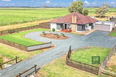 Farm Sold - VIC - Tongala - 3621 - LOOKING FOR A LIFESTYLE CHANGE?  (Image 2)