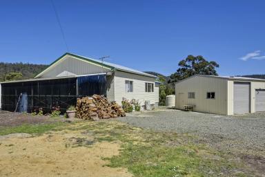 Farm Sold - TAS - Saltwater River - 7186 - COUNTRY COTTAGE CLOSE TO COAST  (Image 2)