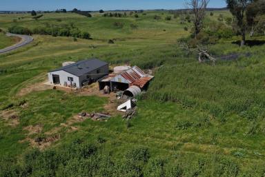 Farm Auction - NSW - Taralga - 2580 - History with Amazing Views  (Image 2)