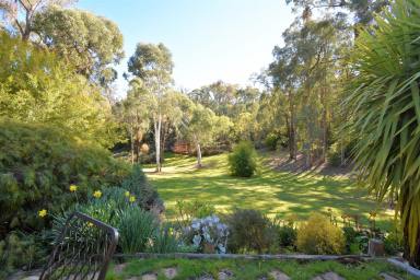 Farm Sold - VIC - Beechworth - 3747 - LIFESTYLE AT ITS BEST  (Image 2)