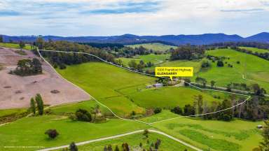 Farm Sold - TAS - Glengarry - 7275 - Clean Green Living  (Image 2)