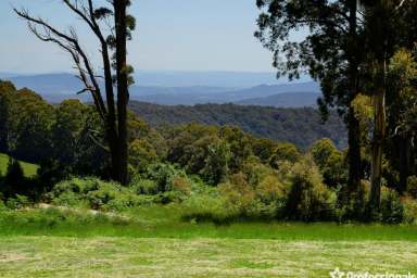 Farm Sold - VIC - Three Bridges - 3797 - BEENAK…85 ACRES OF SERENITY.  (Image 2)