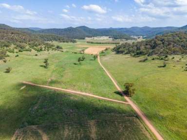 Farm For Sale - NSW - Yarrawa - 2328 - LIFESTYLE BLOCKS - 40 ACRES STARTING AT $269,000  (Image 2)