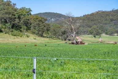 Farm For Sale - NSW - Yarrawa - 2328 - LIFESTYLE BLOCKS - 40 ACRES STARTING AT $269,000  (Image 2)