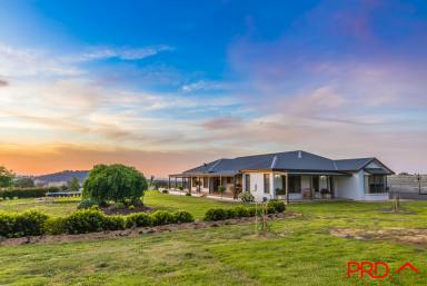 Farm Sold - NSW - Tamworth - 2340 - Classic Look with A Relaxed Feel - Welcome Home.  (Image 2)