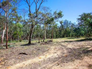 Farm Sold - NSW - Tallong - 2579 - Isolate Here!  (Image 2)