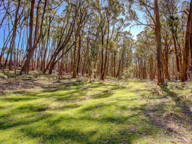 Farm Sold - NSW - Tallong - 2579 - Isolate Here!  (Image 2)