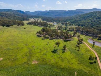 Farm For Sale - NSW - Yarrawa - 2328 - LIFESTYLE BLOCKS RANGING FROM 40 ACRES STARTING AT $269,000  (Image 2)