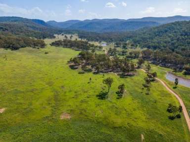 Farm For Sale - NSW - Yarrawa - 2328 - LIFESTYLE BLOCKS - 40 ACRES STARTING AT $269,000  (Image 2)