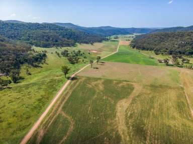 Farm For Sale - NSW - Yarrawa - 2328 - LIFESTYLE BLOCKS - 40 ACRES STARTING AT $269,000  (Image 2)