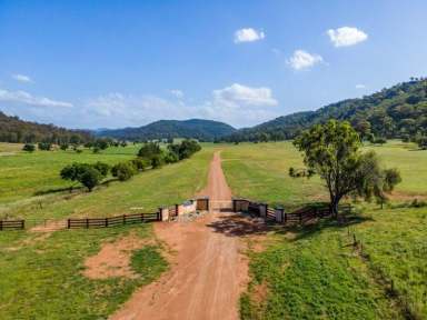 Farm For Sale - NSW - Yarrawa - 2328 - LIFESTYLE BLOCKS - 40 ACRES STARTING AT $269,000  (Image 2)