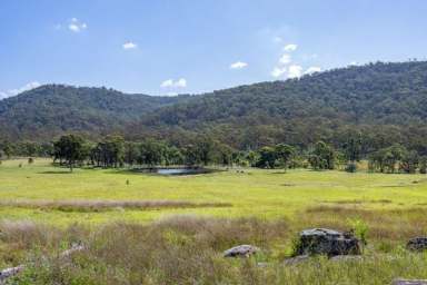 Farm For Sale - NSW - Yarrawa - 2328 - LIFESTYLE BLOCKS - 40 ACRES STARTING AT $269,000  (Image 2)