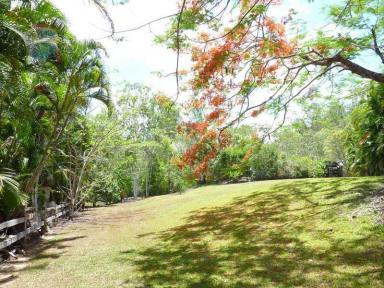 Farm Sold - QLD - Gordonvale - 4865 - Private, Secluded Acreage - 6935m2 Of Peace & Tranquillity You Won't Want To Leave.....  (Image 2)
