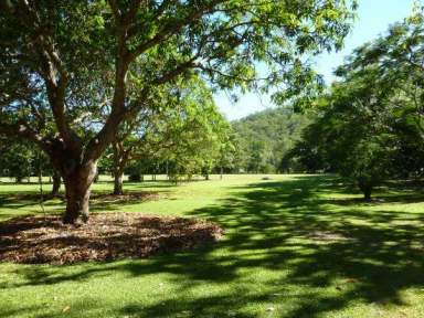 Farm Sold - QLD - Gordonvale - 4865 - HUGE $100,000 PRICE SLASH! 6 Acres of Flat Land + a Beautiful Queenslander!  (Image 2)