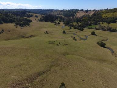 Farm Sold - NSW - Lismore - 2480 - BOOERIE CREEK - JUST MAGNIFICENT  (Image 2)