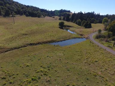 Farm Sold - NSW - Lismore - 2480 - BOOERIE CREEK - JUST MAGNIFICENT  (Image 2)