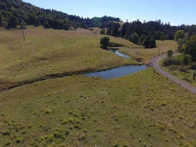 Farm Sold - NSW - Lismore - 2480 - BOOERIE CREEK - JUST MAGNIFICENT  (Image 2)