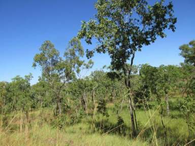 Farm For Sale - NT - Adelaide River - 0846 - Highway Frontage 15 klms South of Adelaide River  (Image 2)