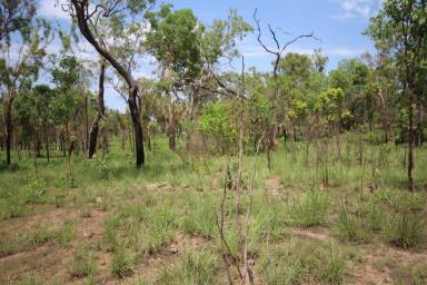 Farm For Sale - NT - Adelaide River - 0846 - Highway Frontage 15 klms South of Adelaide River  (Image 2)