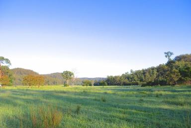 Farm Sold - NSW - Mongogarie - 2470 - SPRING VALLEY FARM - SUSTAINABLE & REGENERATIVE - 3400 ACRES  (Image 2)