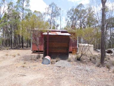 Farm Sold - QLD - Kogan - 4406 - A GREAT WEEKENDER BLOCK WITH A SELF CONTAINED HUMPY - 100HA  (Image 2)