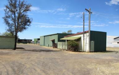 Farm Sold - QLD - Dalby - 4405 - DALBY INDUSTRIAL PROPERTY - 1.25 ACRES OF LAND & SHEDS - WIDE 60 METRE FRONTAGE  (Image 2)