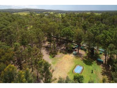 Farm Sold - NSW - Koorainghat - 2430 - ACRES WITH HIGHWAY FRONTAGE WITH ACCESS TO BOTH NORTH AND SOUTH  (Image 2)