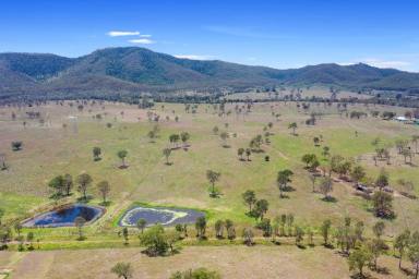 Farm Sold - QLD - Woolooga - 4570 - PRIME CATTLE GRAZING PROPERTY  (Image 2)