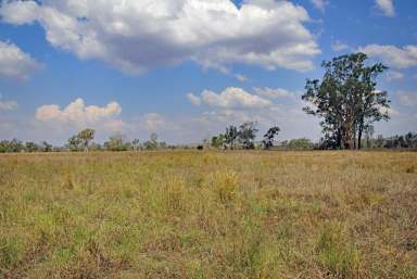 Farm Sold - QLD - Dululu - 4702 - Grazing with Irrigation Opportunities  (Image 2)