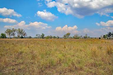 Farm Sold - QLD - Dululu - 4702 - Grazing with Irrigation Opportunities  (Image 2)