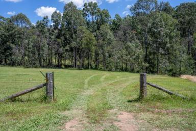 Farm Sold - NSW - Howes Valley - 2330 - GET AWAY FROM IT ALL!  (Image 2)